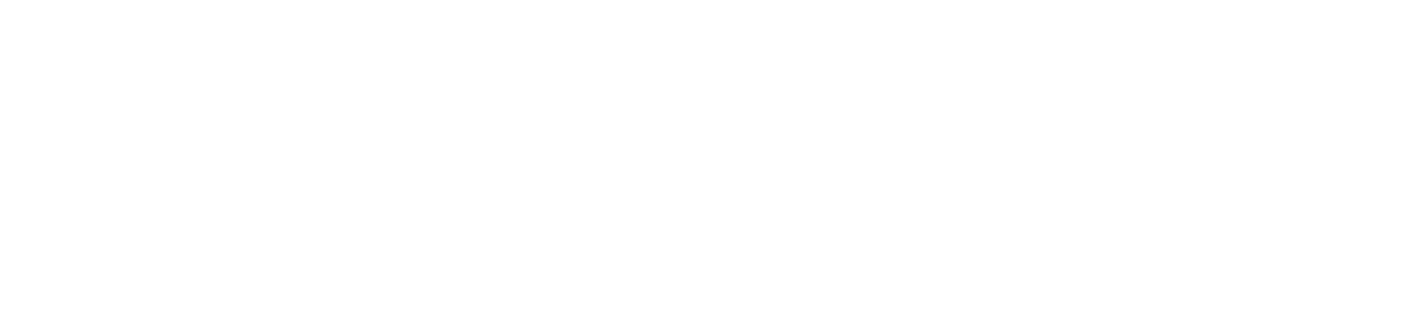INTELLIGENCE INTELICOM
